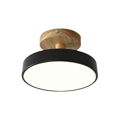 Slim Contemporary LED Ceiling Light