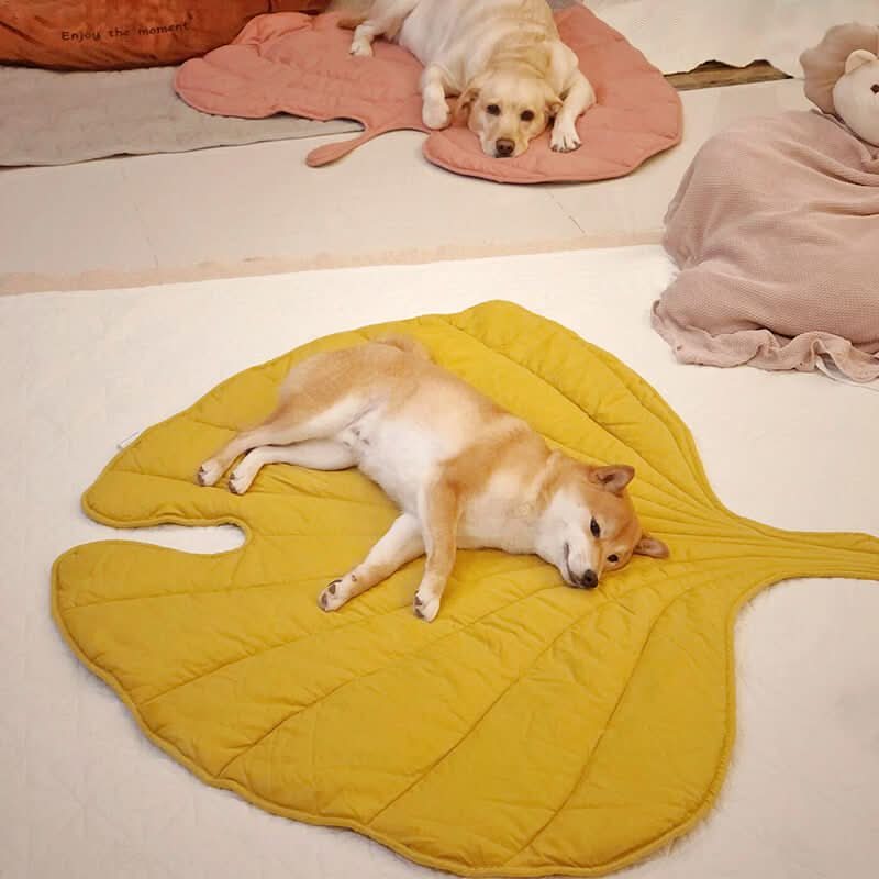 Soft Plush Leaf Dog Blanket - Halri