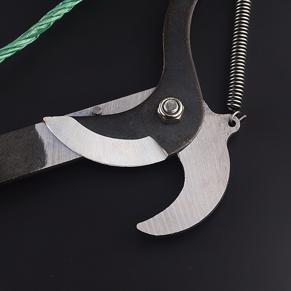 Long Reach Tree Pruning Shears