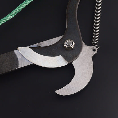 Long Reach Tree Pruning Shears