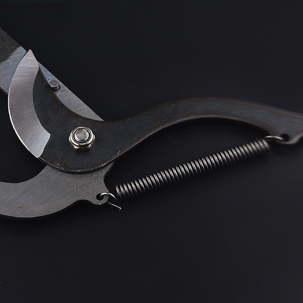 Long Reach Tree Pruning Shears