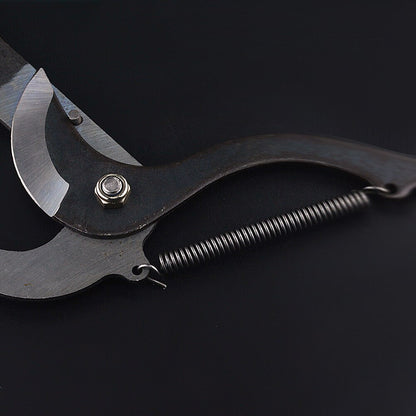 Long Reach Tree Pruning Shears