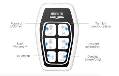 Wireless RC Robotic Toy