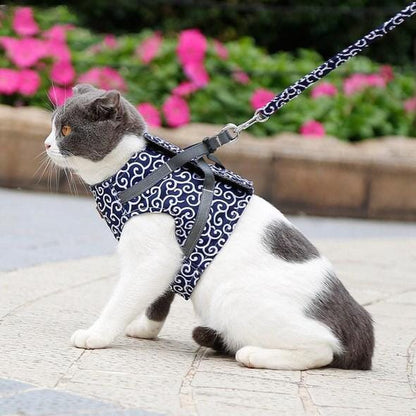Comfortable Cat Walking Harness Set