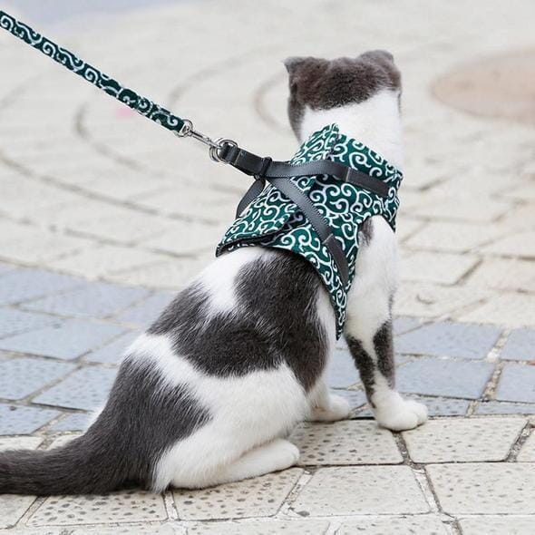 Comfortable Cat Walking Harness Set