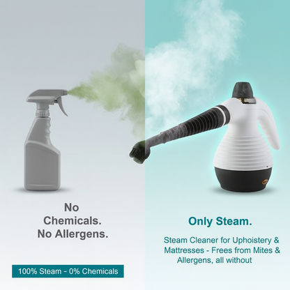 Portable Handheld Fabric Steam Cleaner