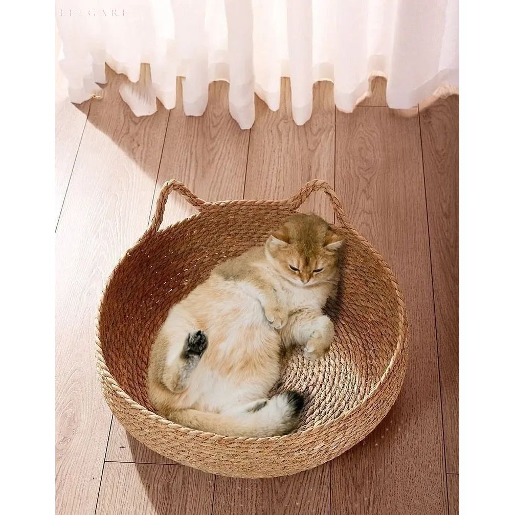 Cozy Woven Kitty Bed with Soft Cushion