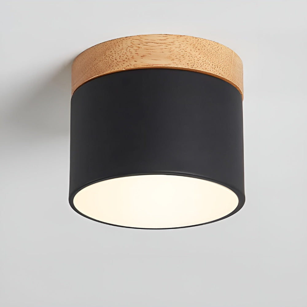 Modern LED Ceiling Light with Simple Elegant Design - Halri