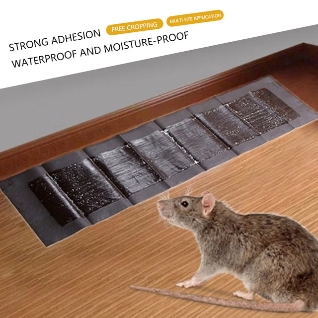 Large Adhesive Pads For Rodent Traps