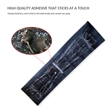 Large Adhesive Pads For Rodent Traps
