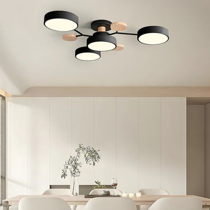 Stylish LED Ceiling Light Fixtures Bright White