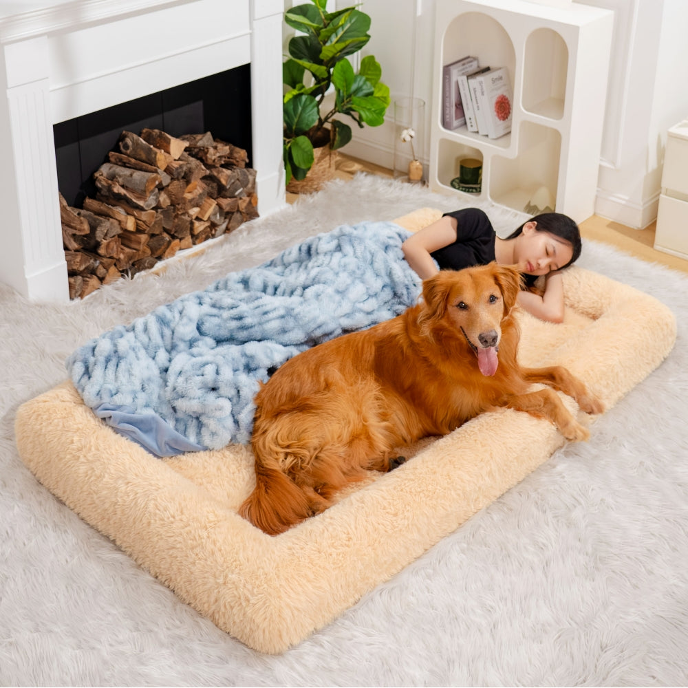 Extra Large Plush Orthopedic Dog Bed