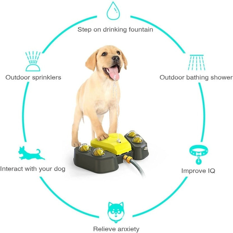 Dog Sprinkler Water Fountain with Pedal and Shower