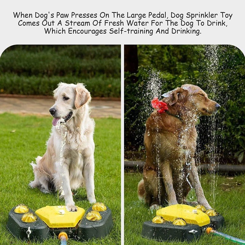 Dog Sprinkler Water Fountain with Pedal and Shower