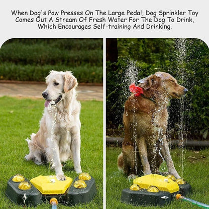 Dog Sprinkler Water Fountain with Pedal and Shower