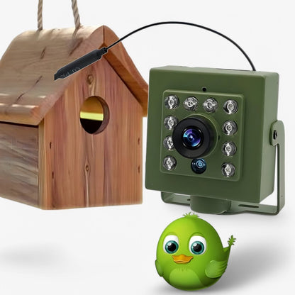 Outdoor Wireless Animal Camera with Night Vision