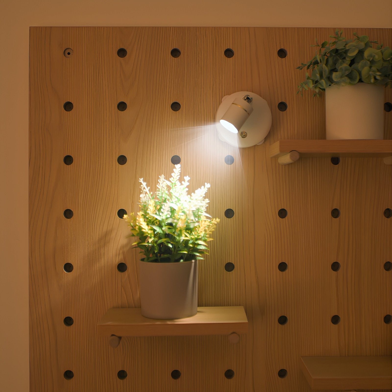 Sleek LED Wall Light Adjustable Spotlight - Halri