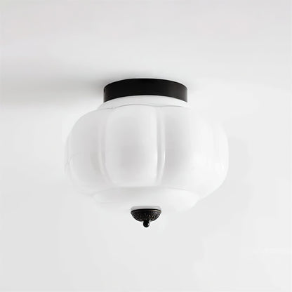 Compact Stylish Ceiling Lighting Fixtures