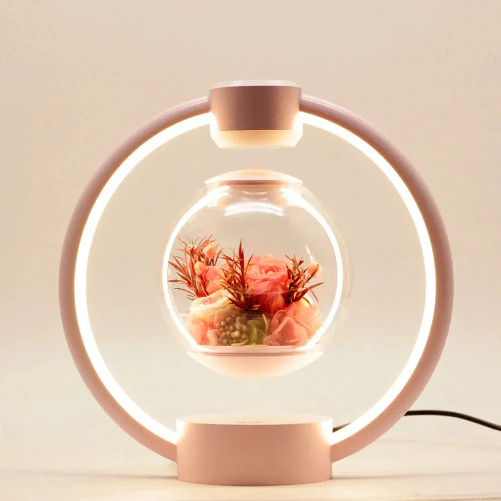 Modern Floating LED Desk Lamp - Halri
