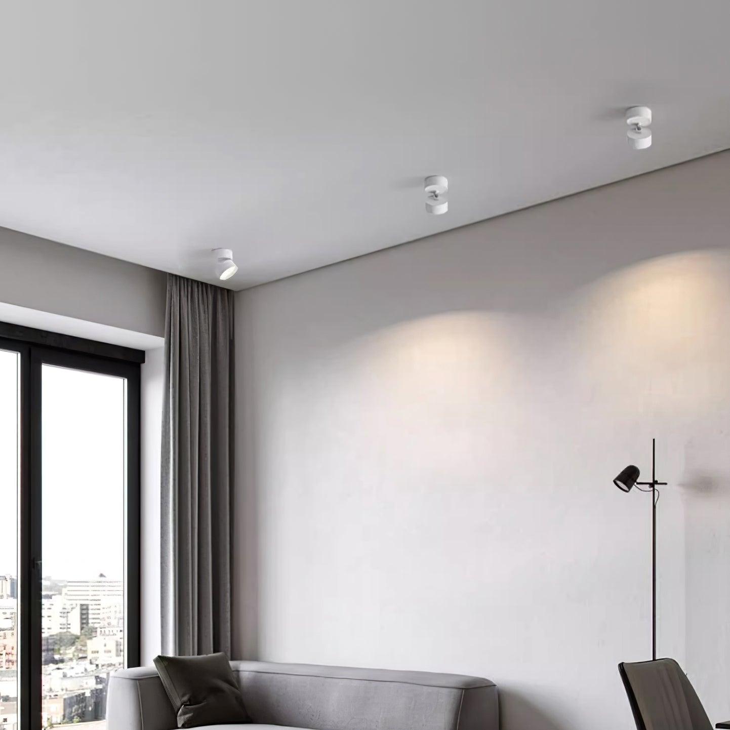 Modern living room with gray sofa, floor lamp, and ceiling lights.