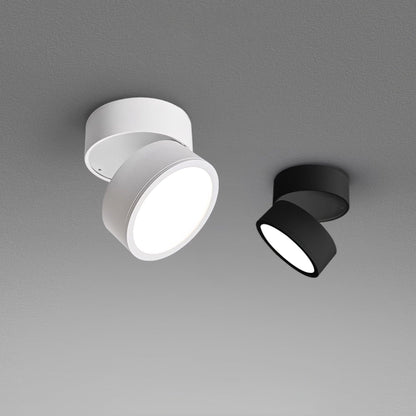 Two ceiling lights, one white and one black, on a gray background