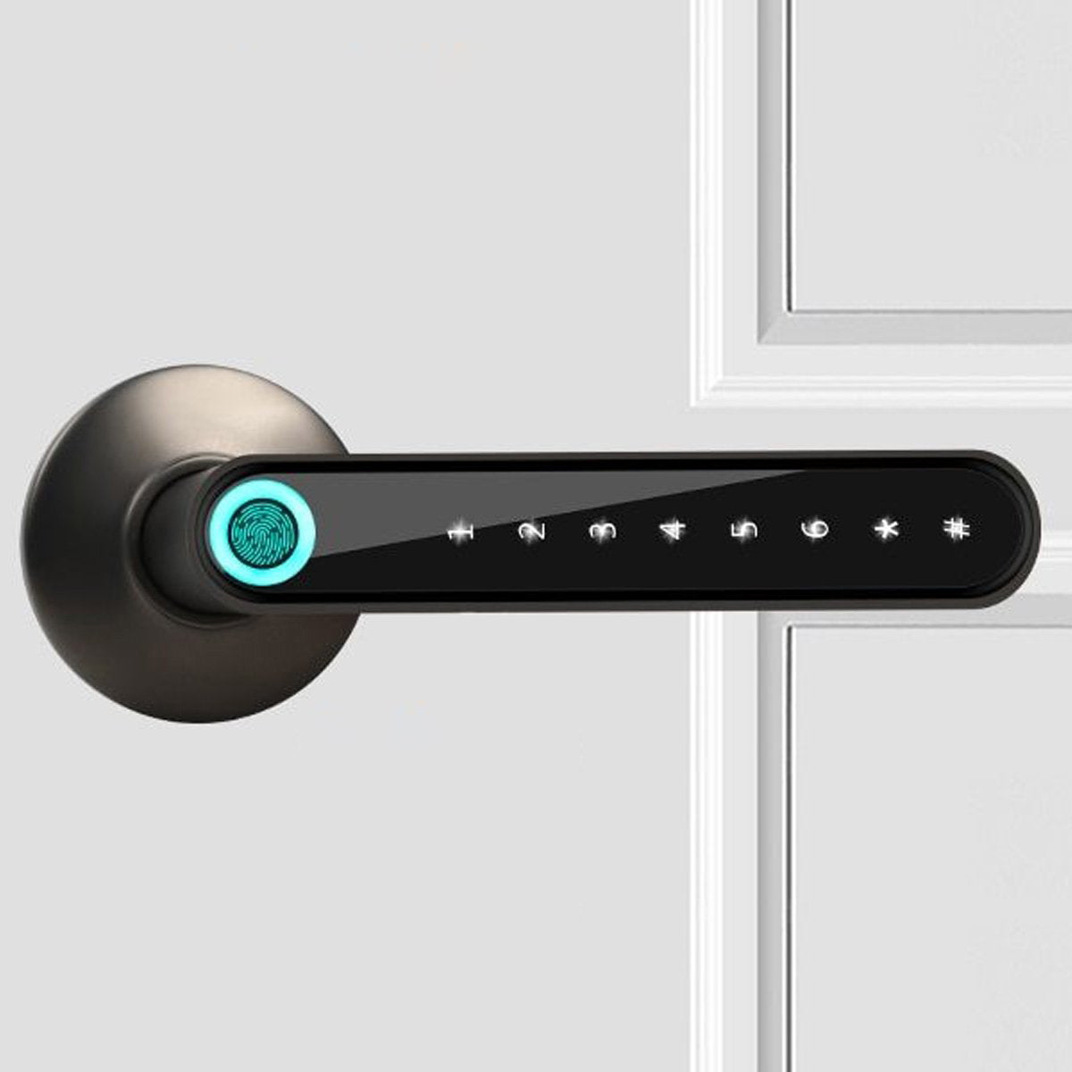 Biometric Keyless Digital Lock