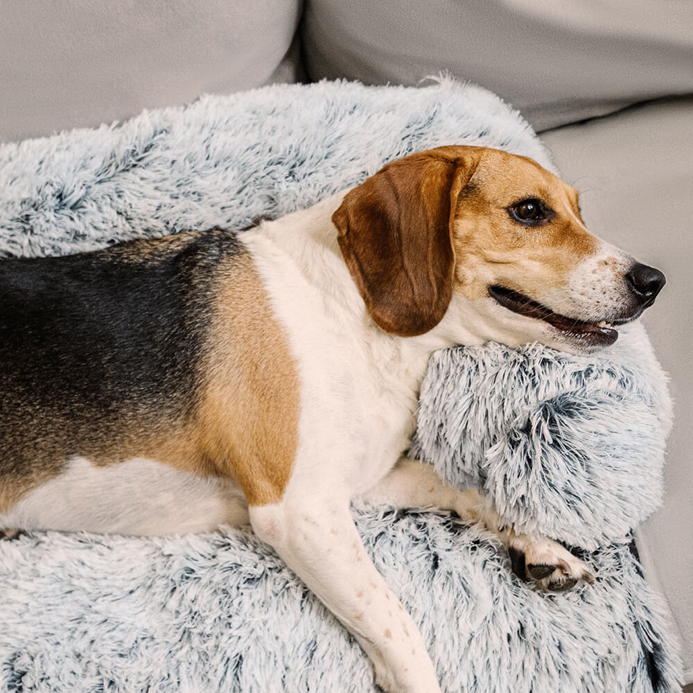 Comfortable Pet Sofa Bed - Plush Dog Cushion