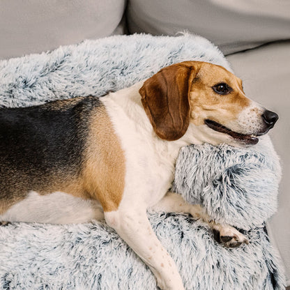 Comfortable Pet Sofa Bed - Plush Dog Cushion