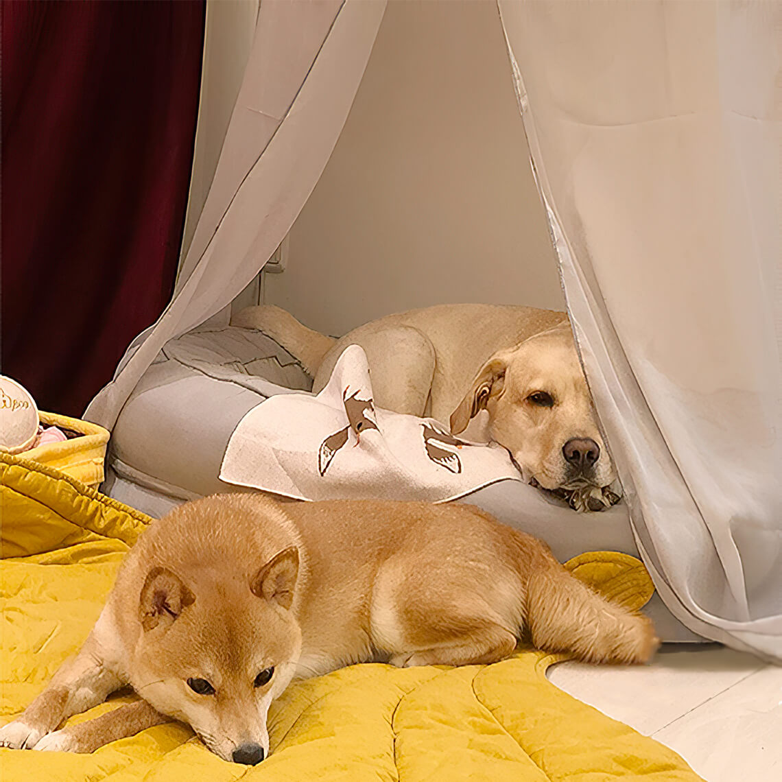 Pet Friendly Leaf Dog Blanket with Plush Bed