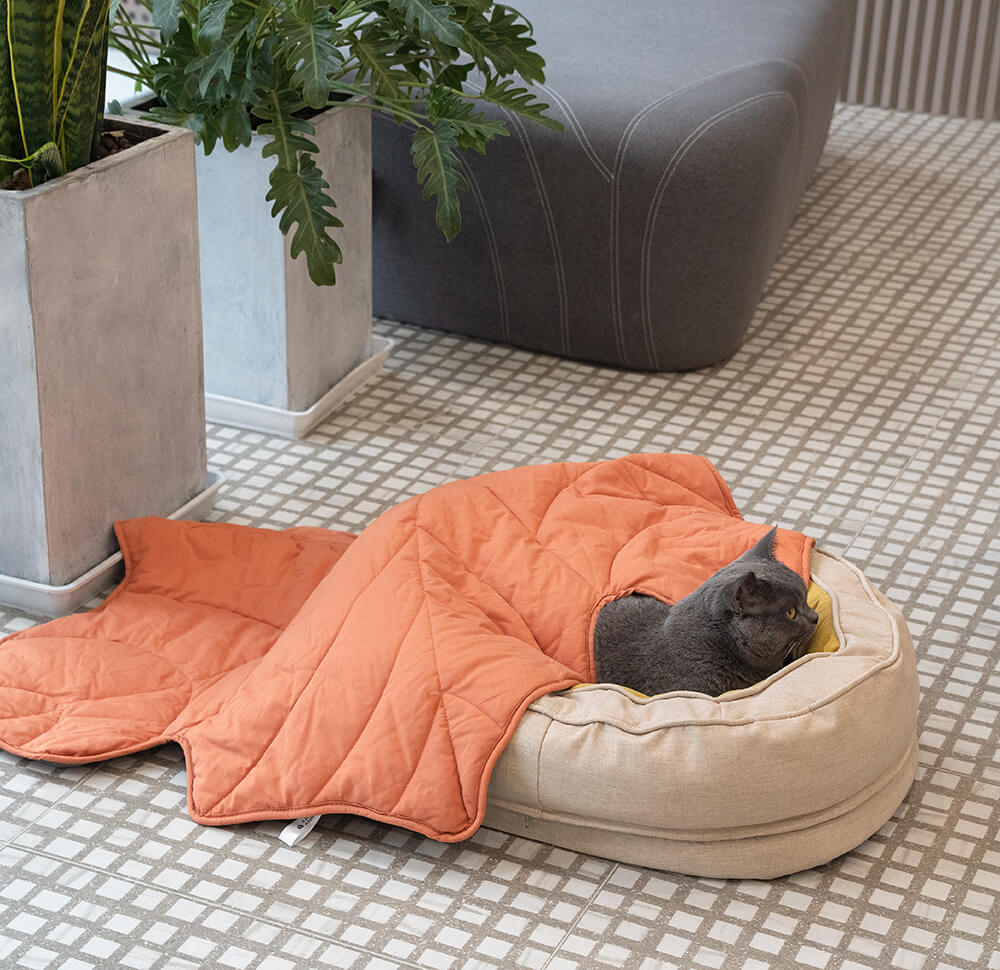 Pet Friendly Leaf Dog Blanket with Plush Bed