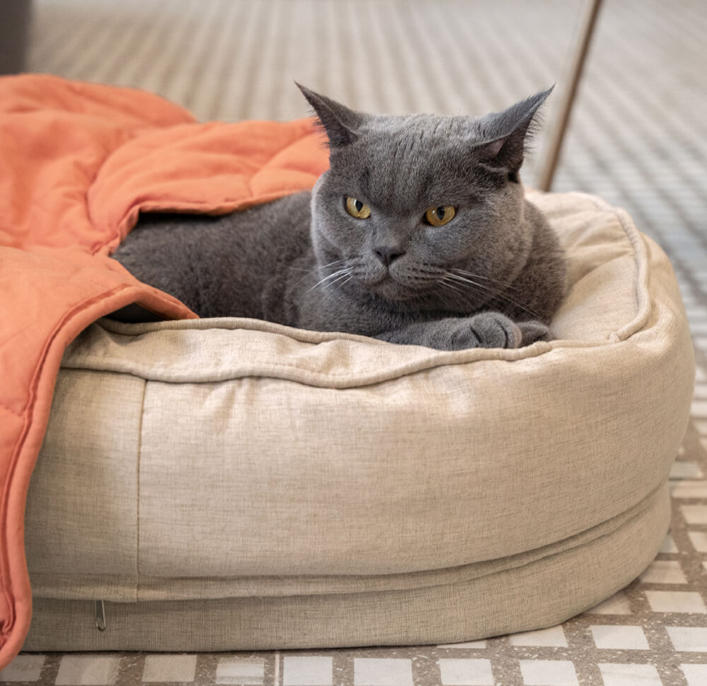 Pet Friendly Leaf Dog Blanket with Plush Bed