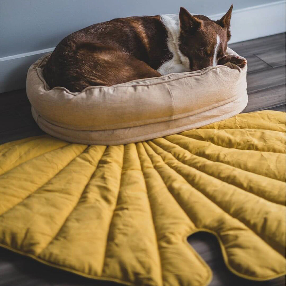 Pet Friendly Leaf Dog Blanket with Plush Bed
