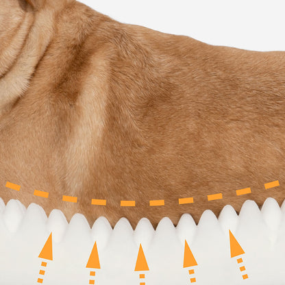 Pet Friendly Leaf Dog Blanket with Plush Bed