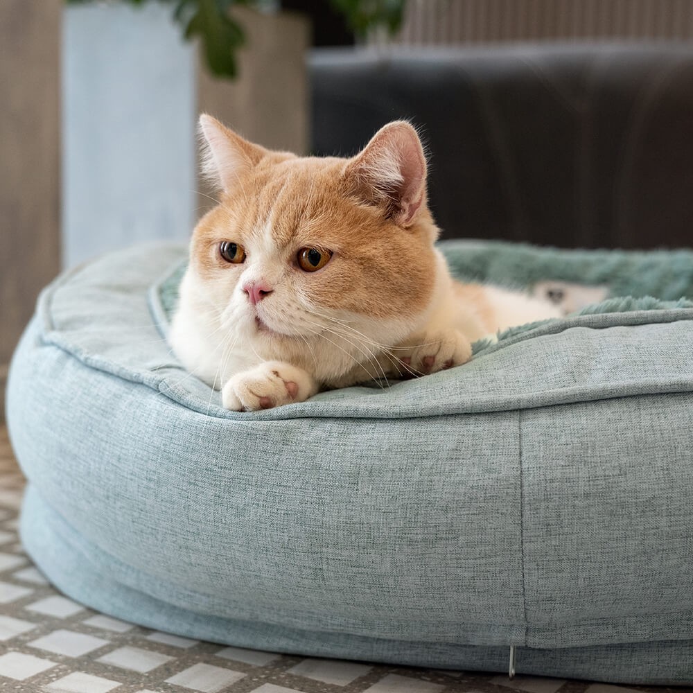 Plush Comfortable Orthopedic Pet Bed
