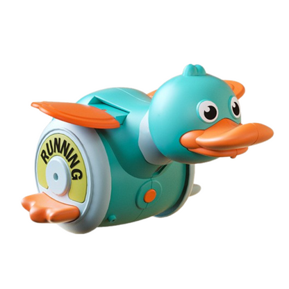 Funny Walking Duck