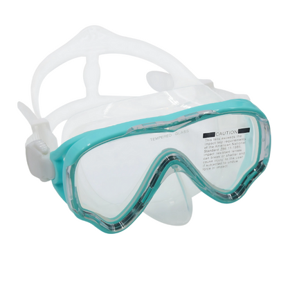Full Face Diving Mask