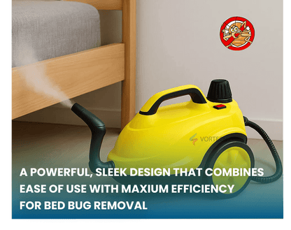 Powerful Bed Bug Steam Cleaner for Home Use