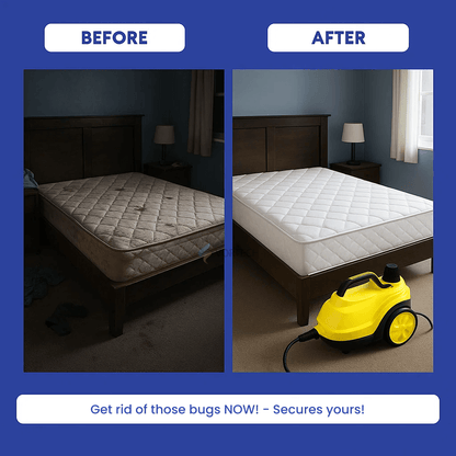 Powerful Bed Bug Steam Cleaner for Home Use
