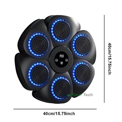 Fitness Punching Kickboxing Pad