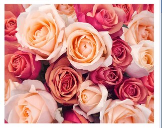 Colorful Floral Paint by Number Kit