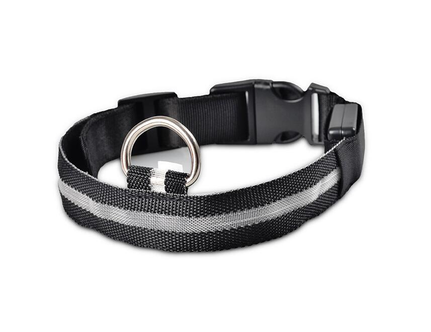 Bright LED Pet Collar for Nighttime Safety