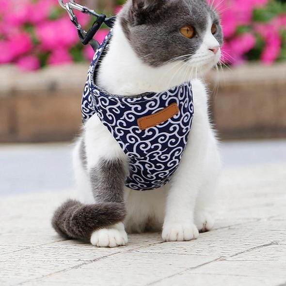 Comfortable Cat Walking Harness Set - Halri