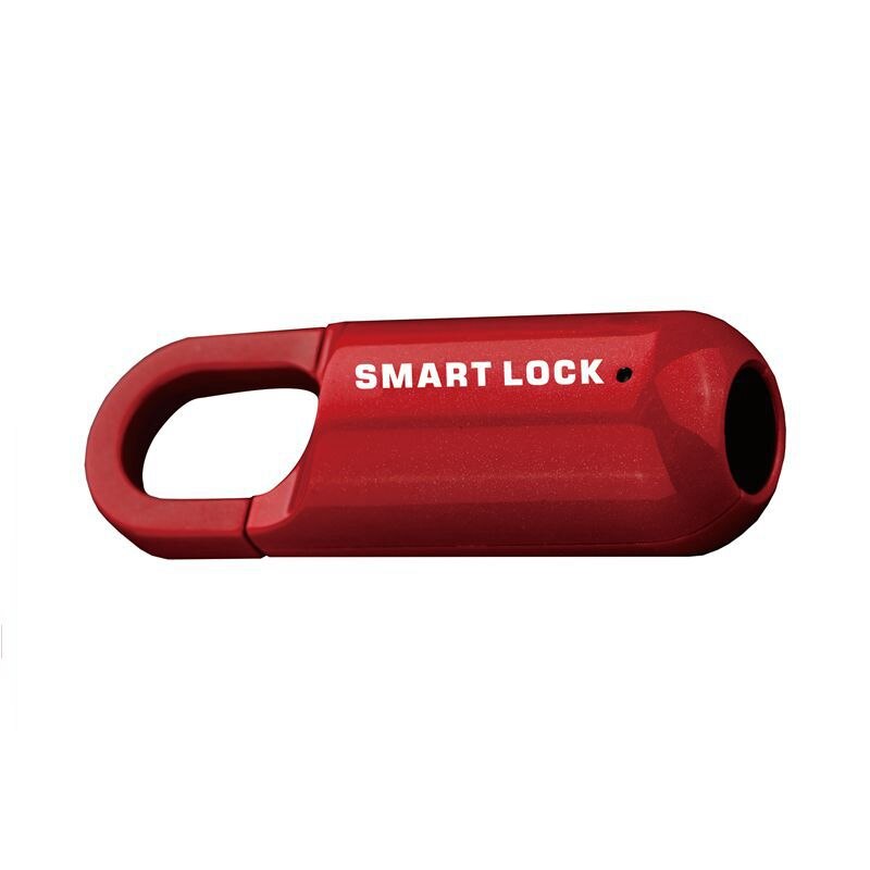 Compact Digital Fingerprint USB Lock Box - Halri