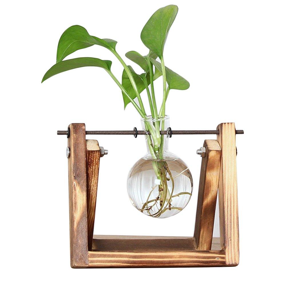 Easy Plant Cutting Starter Kits - Halri