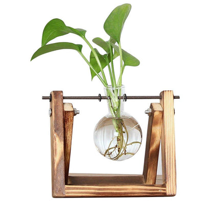 Easy Plant Cutting Starter Kits - Halri