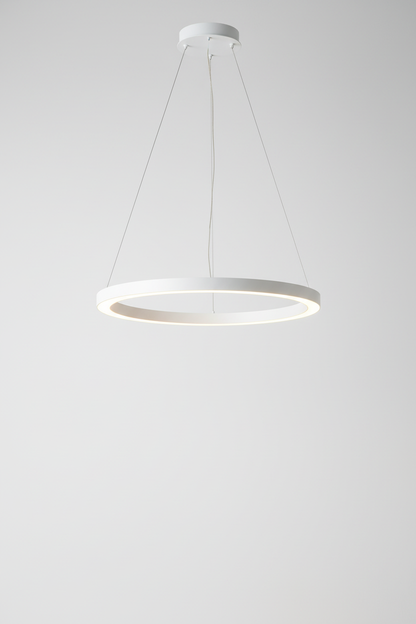Contemporary LED Hanging Light Fixture