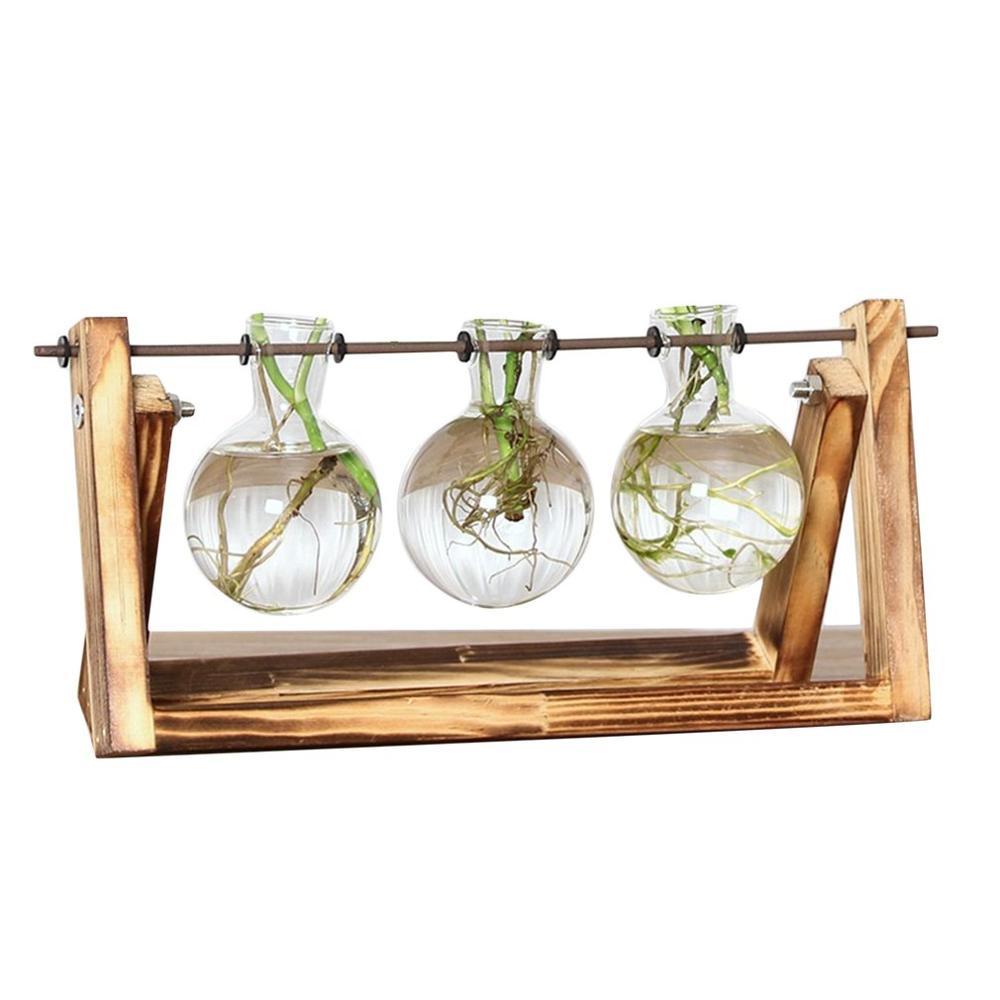 Easy Plant Cutting Starter Kits