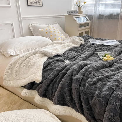 Cozy Plush Reversible Winter Blanket