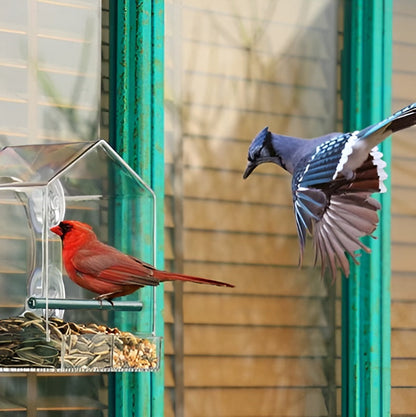 Easy Fill Bird Feeder with Strong Suction Cup Base - Halri
