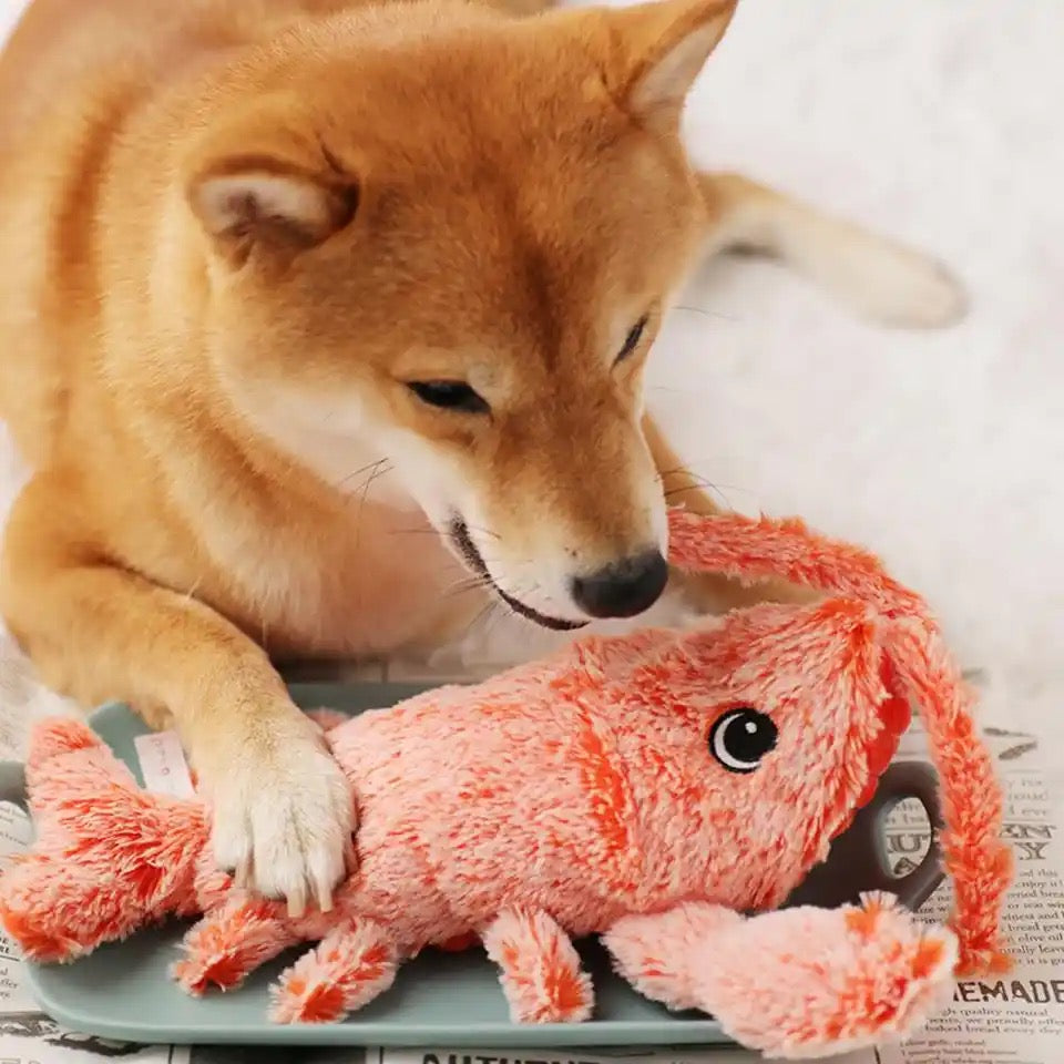 Fun Moving Lobster Dog Toy - Halri